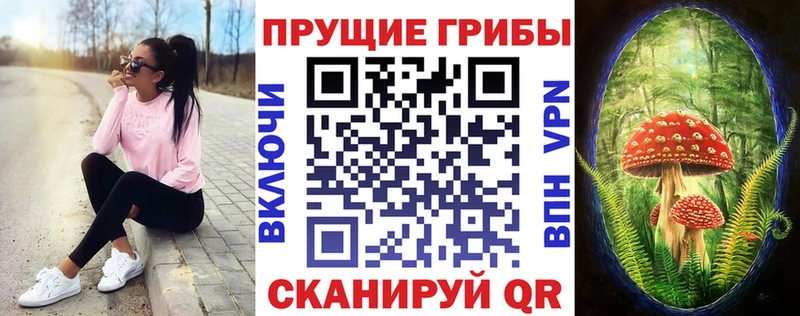 Псилоцибиновые грибы Cubensis Анжеро-Судженск