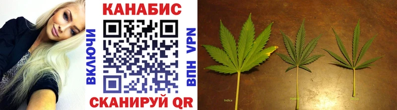 Бошки Шишки OG Kush  Анжеро-Судженск 